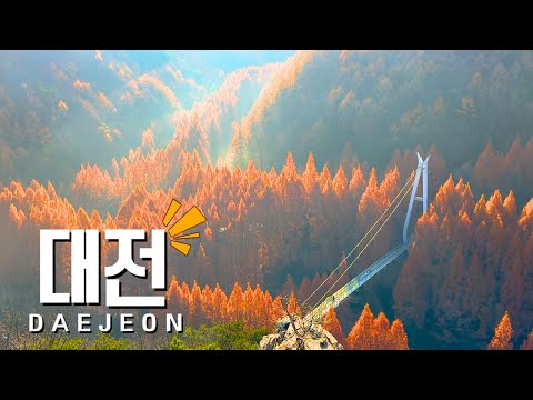 마지막 가을 아름다운 메타세콰이어 국내 여행 코스 BEST 3 대전 근교 여행