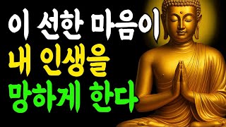 선한 마음이 오히려 당신 인생을 망칩니다  착함의 함정 5가지!  부처님말씀  인생조언  석가모니