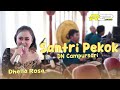 Santri pekok  voc della rossa  dn campursari  sa audio  rgp klaten santripekok dangdut