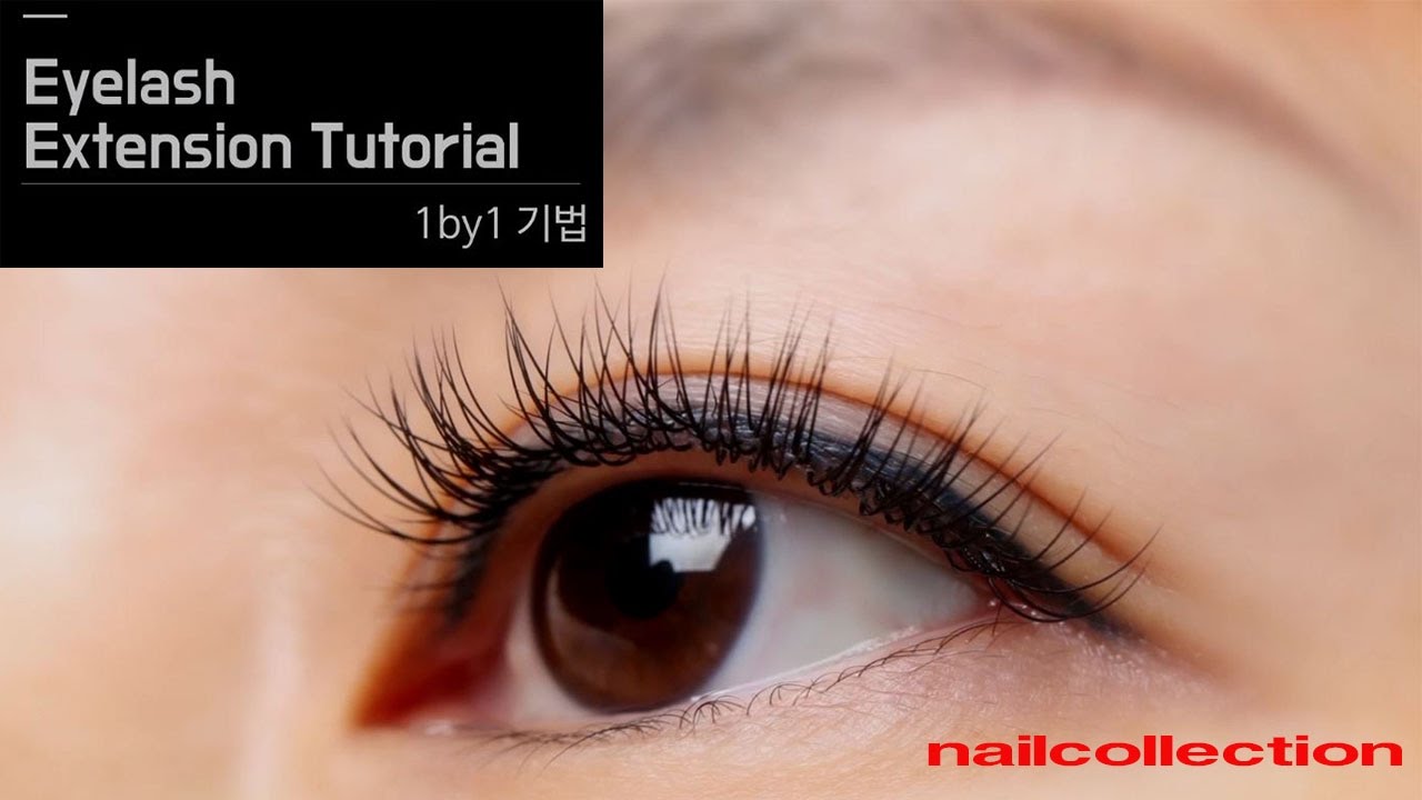 속눈썹 연장/1By1기법 _Nailcollection by midae