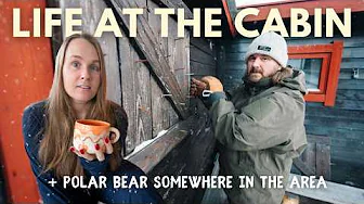 A Day at the off-grid CABIN (+ Polar Bear somewhere in the area) ︱ Svalbard