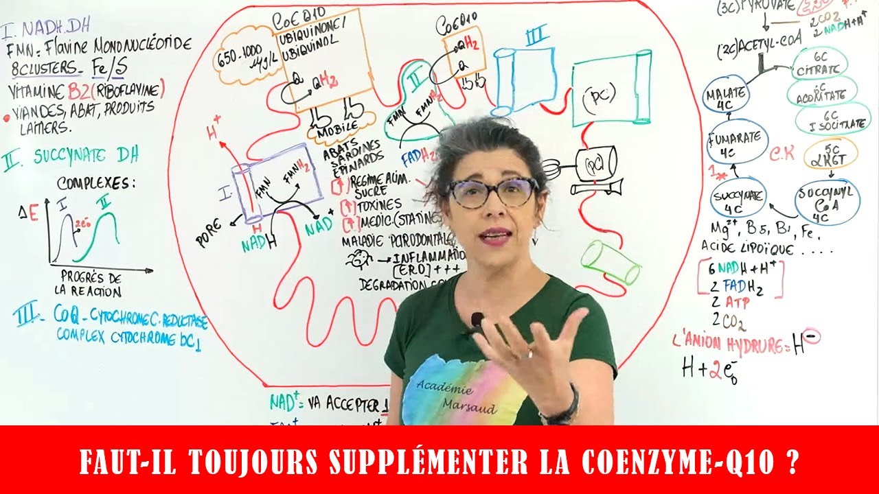 FAUT IL TOUJOURS SUPPLEMENTER LA COENZYME Q10 