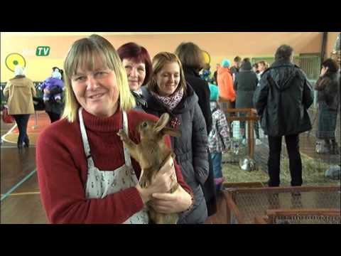 Video: Pamests, Ievainots Trusis Saņem Nepieciešamo Palīdzību