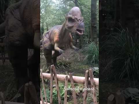 Met a gigantic dinosaur in Real life🇬🇧#pachyrhinosaurus #paradisewildlifepark #london #uk #shorts