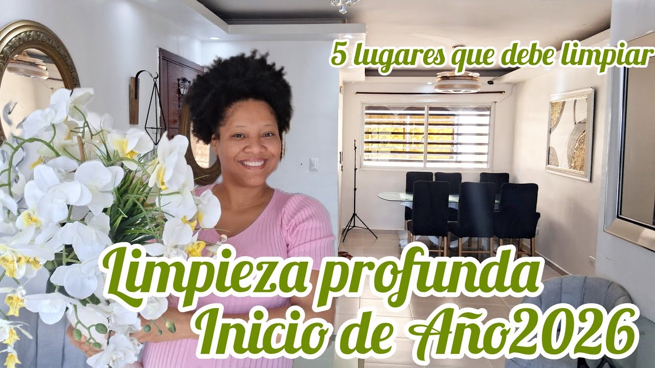 Limpiando  después de navidad/5 ĺugare que debes limpiar 