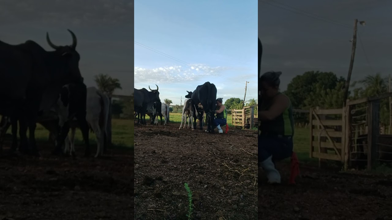 18 de janeiro de 2026