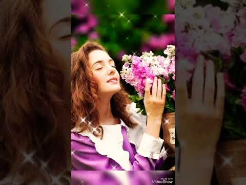 اه على قلب هواه محكم مروان خوري 