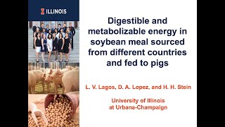 Digestible and metabolizable energy in soybean meal sourced from different countries and fed to pigs