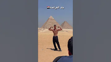 بلد الفراعنة Youssefidris Bodybuilding Motivation Gym Fitness Musclegym Physique 