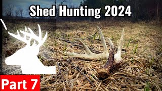 Shed Hunting 2024 - Cleaning up Last Years Drops - Part 7