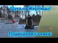 Щука на Жерлицы! Атака Щуки на Живца! Подводная съемка!