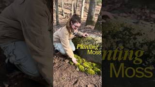 How to Plant Mood Moss (Dicranum) | Site Prep, Installation &amp; Watering Guide