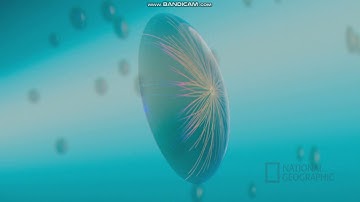 Cosmos Possible Worlds: Journey to Proxima Century