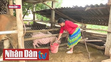 Phát triển kinh tế vùng đồng bào dân tộc thiểu số