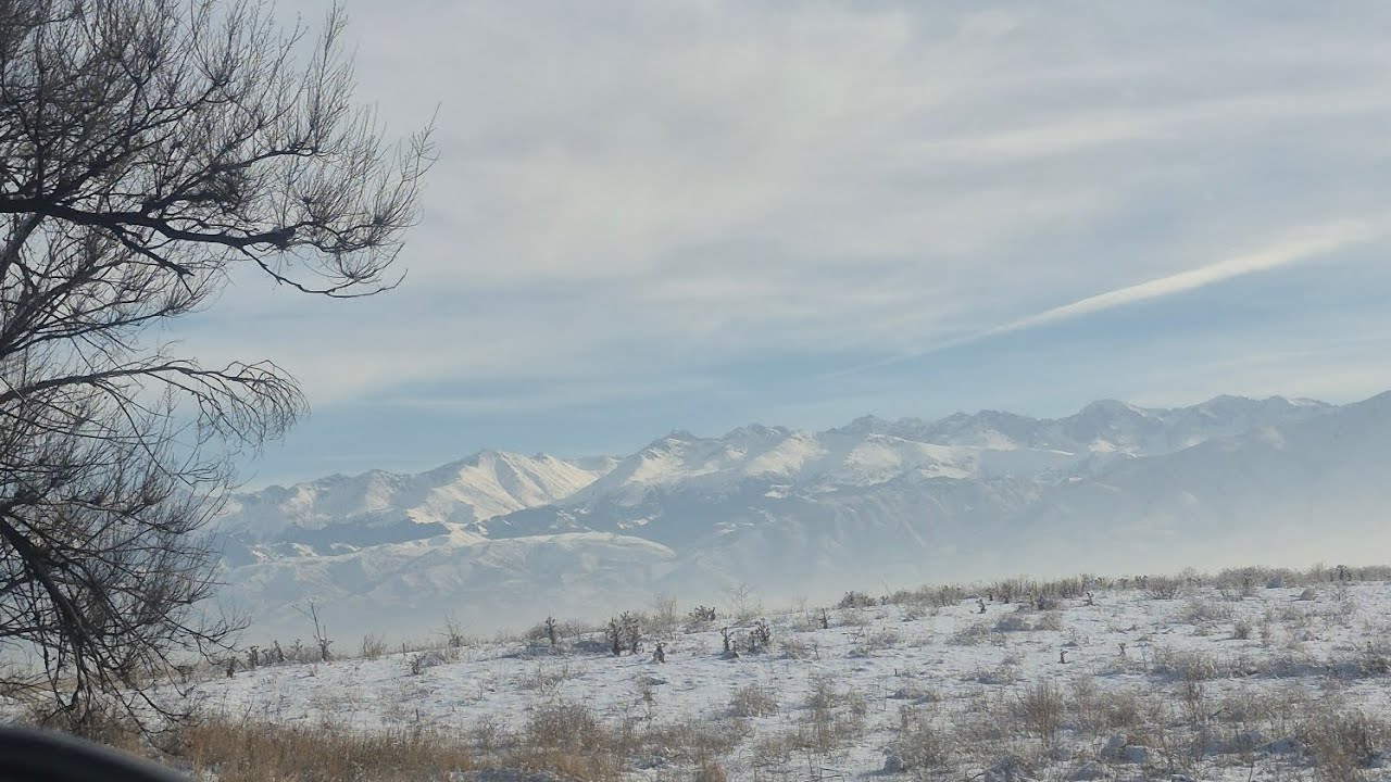 2 күндік влог | туған күнге бардым