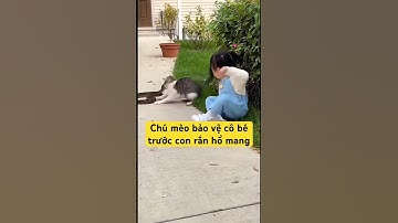Chú mèo bảo vệ cô bé trước con rắn hổ mang #shortvideo #aivideo #cat