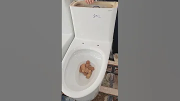 Siphonic One Piece Toilet Flushing Test Sanitaryware Toilet Bathroom Toiletfactory 