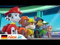 Paw patrol  die paw patrol sucht nach einem vergrabenen schatz  nick jr deutschland