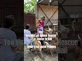🌎 POV You visit 🐶 animal rescue in Bali #limitlessglobalgirl
