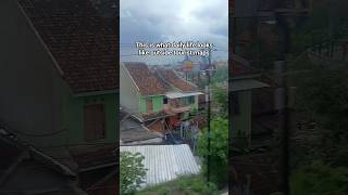 Just Real Life Ping By The Window