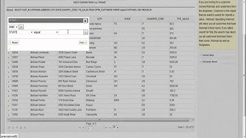 InfoSeek for IBM Optim: Keyword Searching, Data Drill-Down and Data Exporting Overview