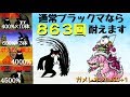にゃんこ大戦争 ガメレオンLv50+1で強化ブラックマステージをリベンジ！