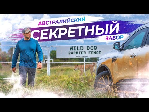 Забор Австралии - Переходы в разных местах