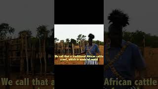 People in rural Zimbabwe #Shorts