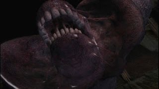 Silent Hill 3 - Boss 01 Split Worm (No Damage)