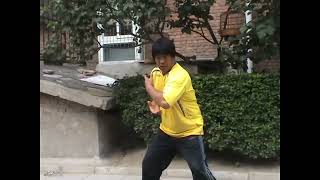 Snake Huaizhong Baoyue Movie, One Of Dan-Cao Or Single Exercises