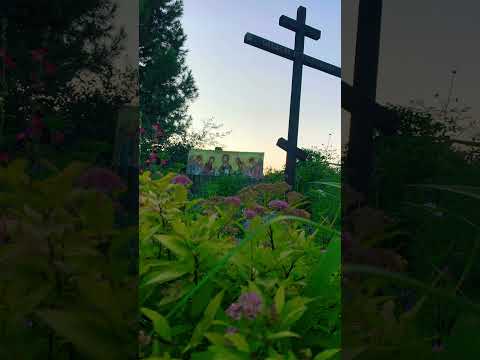Мир душевный #алтайскийкрай #живаявера #барнаул #душа #вераидуховность #православныехристиане #вера