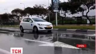 Австралійський страус ему ледь не став причиною дорожньої аварії в Ізраїлі Австралійський страус ему ледь не став причиною дорожньої аварії в Ізраїлі