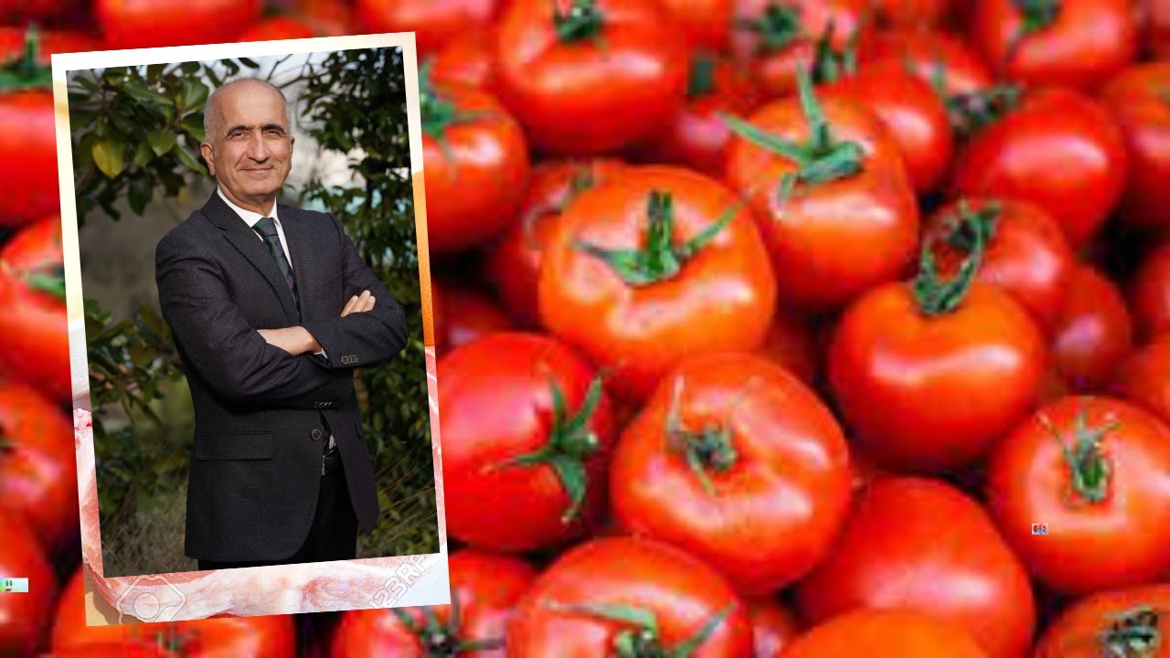 KALP DAMAR SAĞLIĞI İÇİN DOMATES