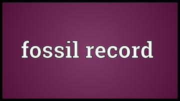 Fossil record Meaning