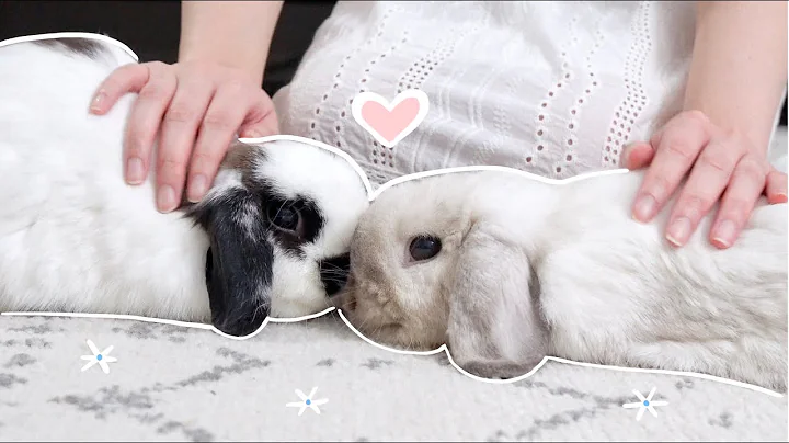 Relaxing weekend vlog with two bunnies
