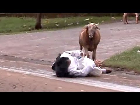 fail-to-cut-the-goat-in-festival--funny-movement