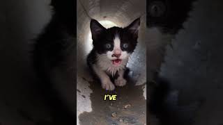 He was stuck deep in the drainage pipe... listen to that cry. 🕳️🐾💔