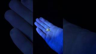 Why do people look for amber at night?