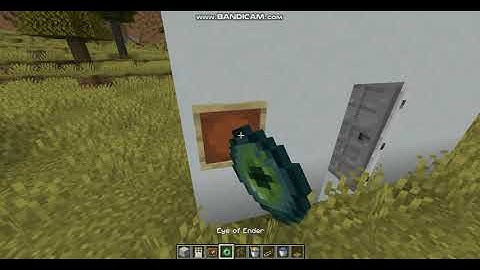 Minecraft:How to make a working Eye Scanner Door