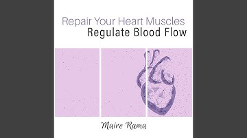 Repair Your Heart Muscles Regulate Blood Flow