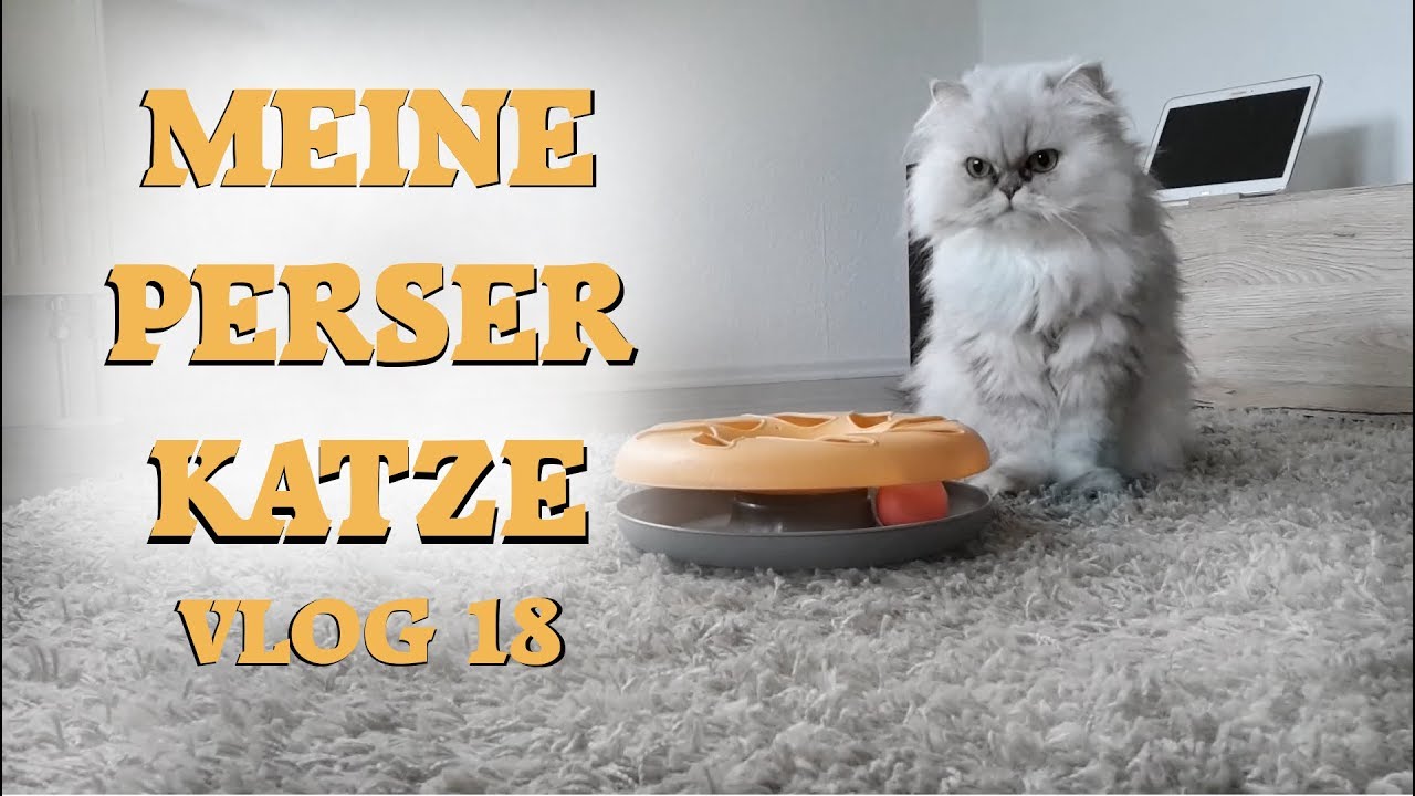 Fassade streichen - Balkon sanieren Teil 1 VLOG 22 deutsch