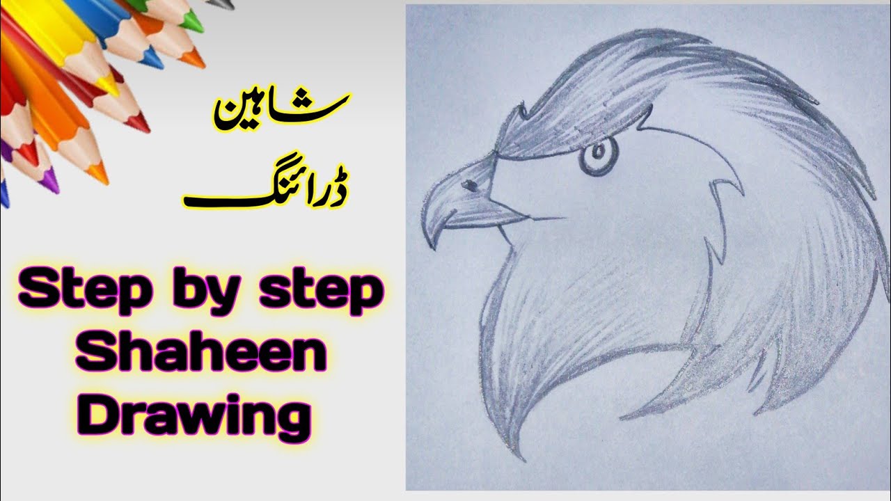 Eagle flying drawing Vectors & Illustrations for Free Download | Freepik