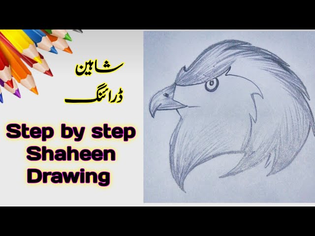 Eagle Drawing with Pencil | Pencil Shading Bird | Pencil Sketch Art | E...  | Eagle drawing, Snake drawing, Art sketches pencil