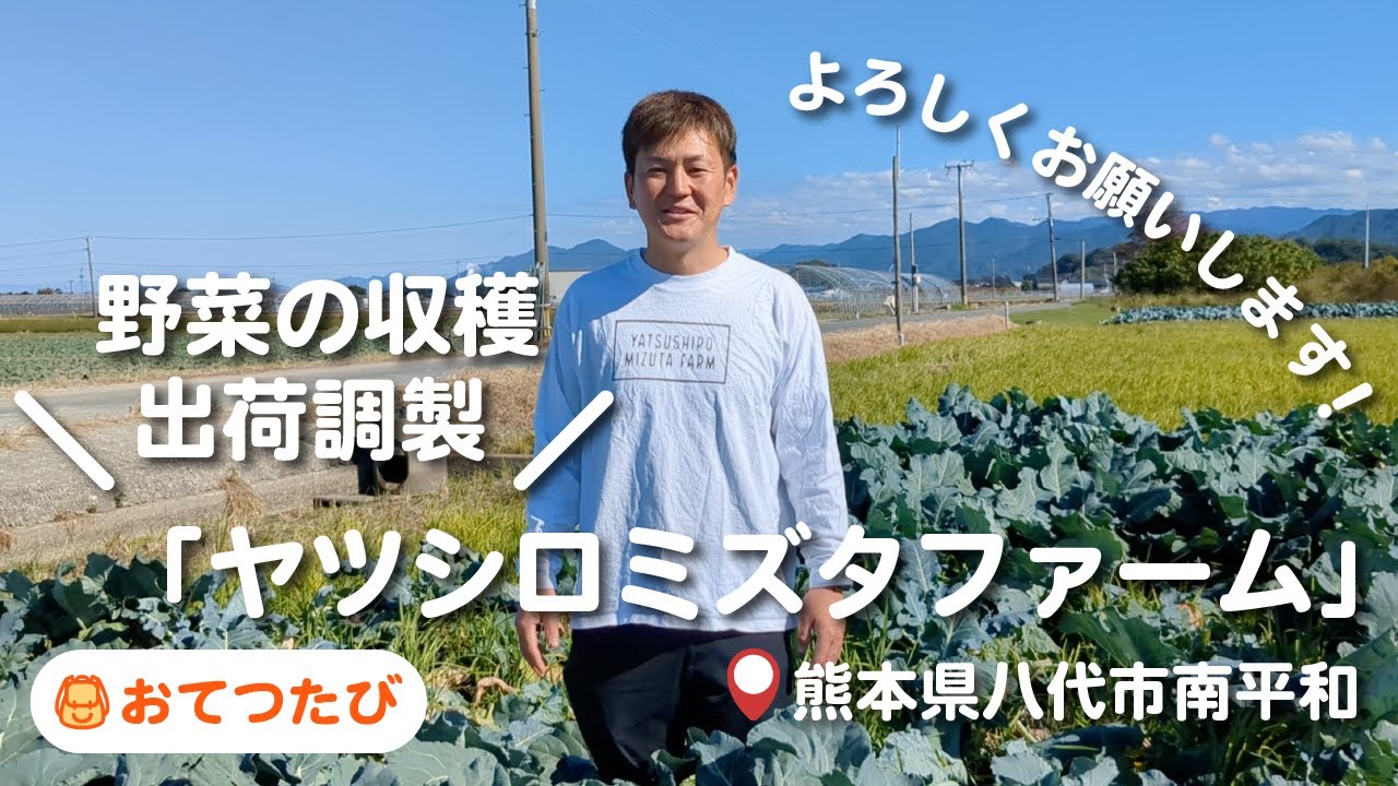 おてつたび先】熊本県八代市南平和「ヤツシロミズタファーム」 - YouTube