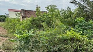 Transforming an overgrown garden  Motivation Inspirational Abandoned House Cleaning