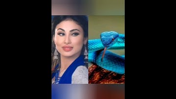 All Naagin  with 💙💙snake 🐍🐍#mouniroy#tejsawiprakash#surbhijyoti#surbhichandna#naagin6