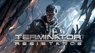 Terminator Resistance