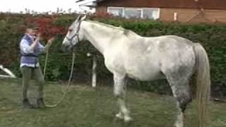 Movie Backing up from the front PART 1.wmv