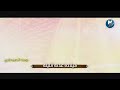حالات واتس اب مولد الامام المهدي عج يوسف الصبيحاوي مهدينا مو مهديكم 