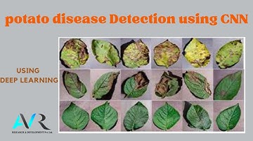potato disease Detection using CNN